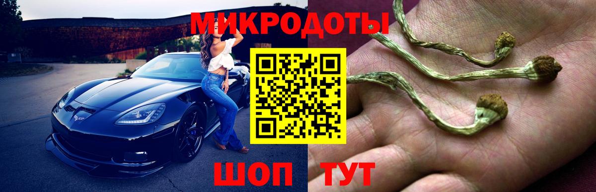 Псилоцибиновые грибы Magic Shrooms  Вход с VPN  где купить наркоту  Соль-Илецк  Псилоцибиновые грибы мухоморы 